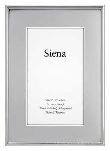 Narrow Mesh Siena Silverplate Frame