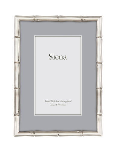 Cast Metal Bamboo Siena Silverplate Frame 4×6