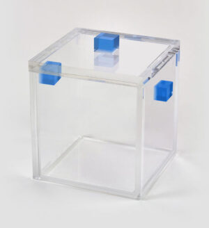 Clear Ice Bucket with Blue Handles w/ Lid 6 x 6 x 6